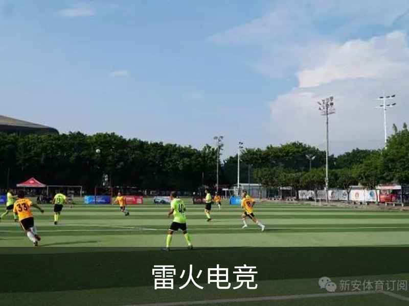 企业简介